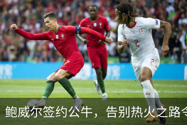 鲍威尔签约公牛，告别热火之路令人唏嘘